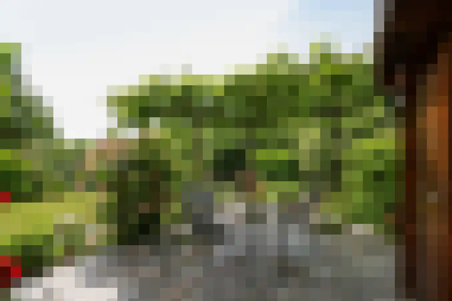 Morelstraat 58 Rockanje thumbnail 63