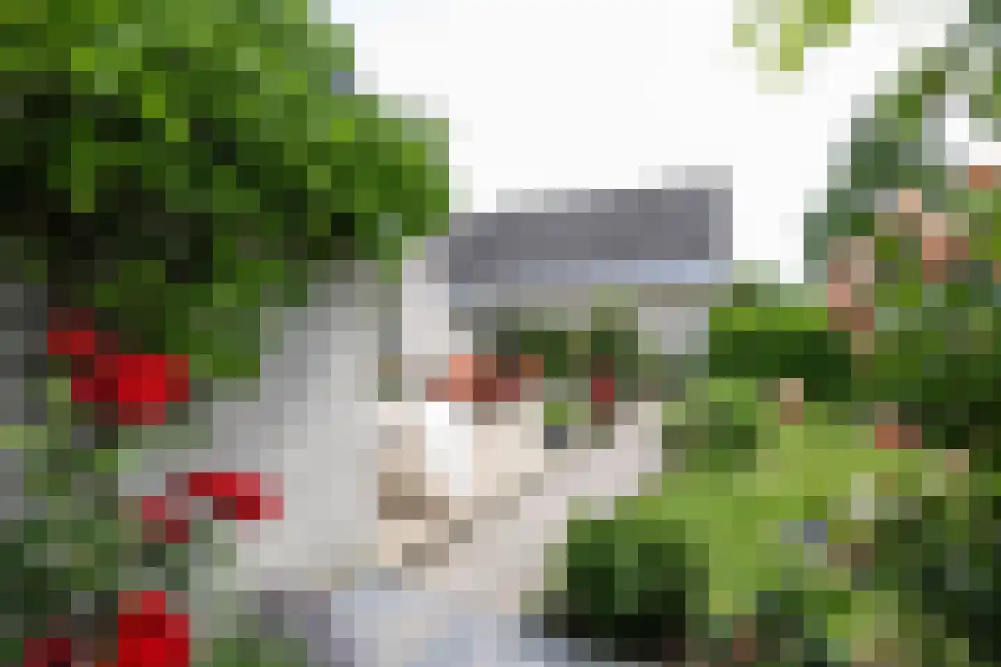 Morelstraat 58 Rockanje thumbnail 65