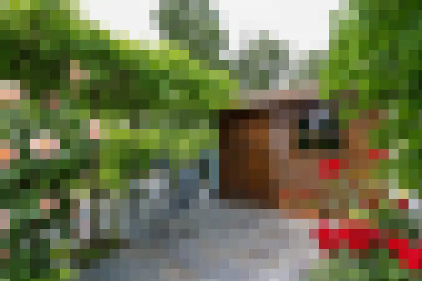 Morelstraat 58 Rockanje thumbnail 66