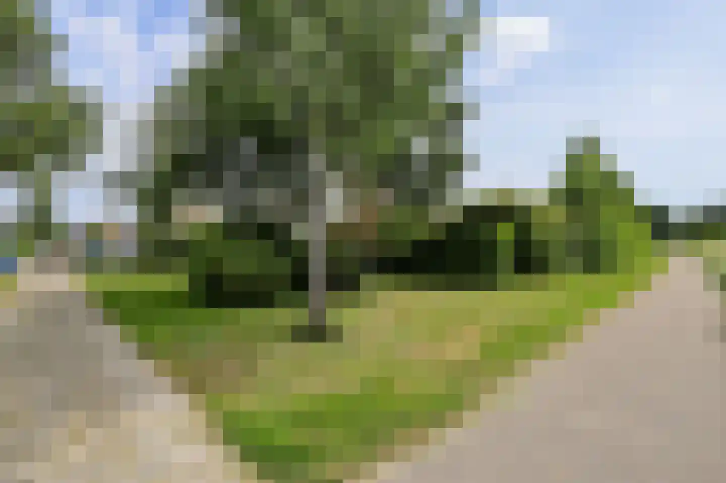 Morelstraat 58 Rockanje thumbnail 67