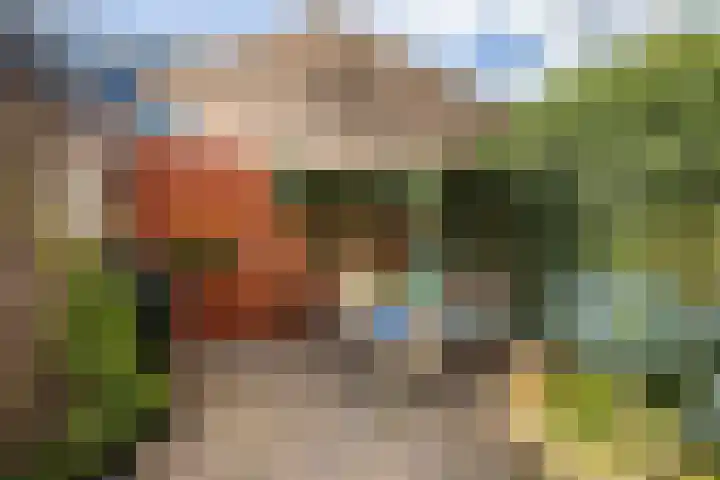 Morelstraat 60 Utrecht thumbnail 31