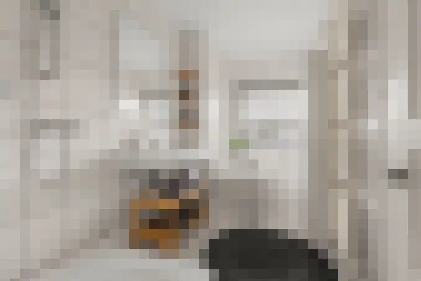 Morelstraat 64 BS Utrecht thumbnail 20