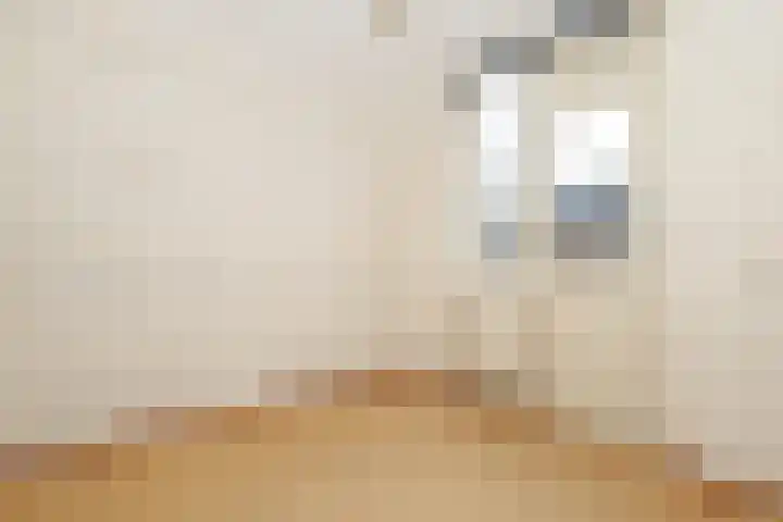 Morelstraat 79 Rockanje thumbnail 31