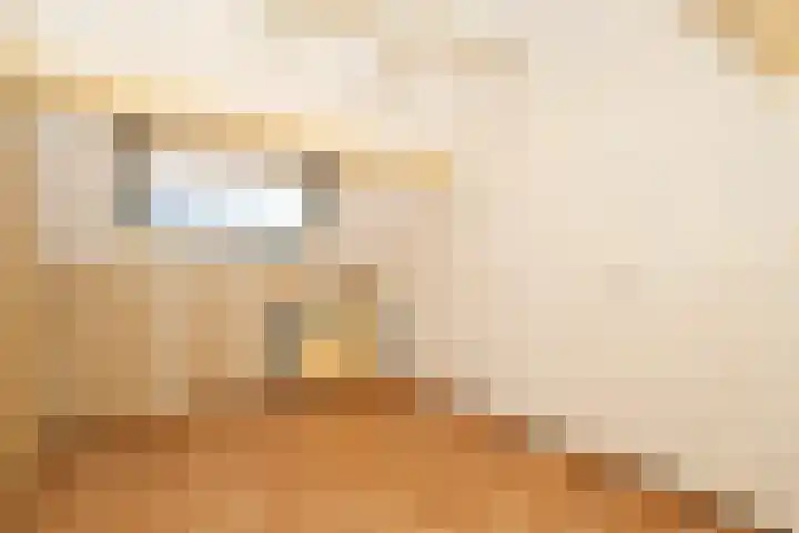 Morelstraat 79 Rockanje thumbnail 36