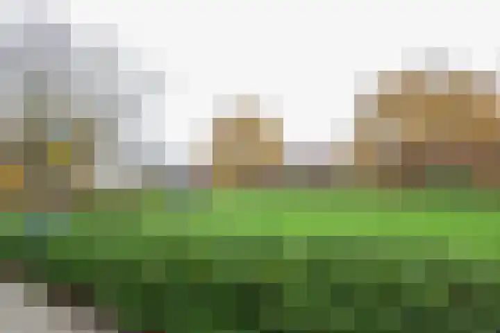 Morelstraat 79 Rockanje thumbnail 46