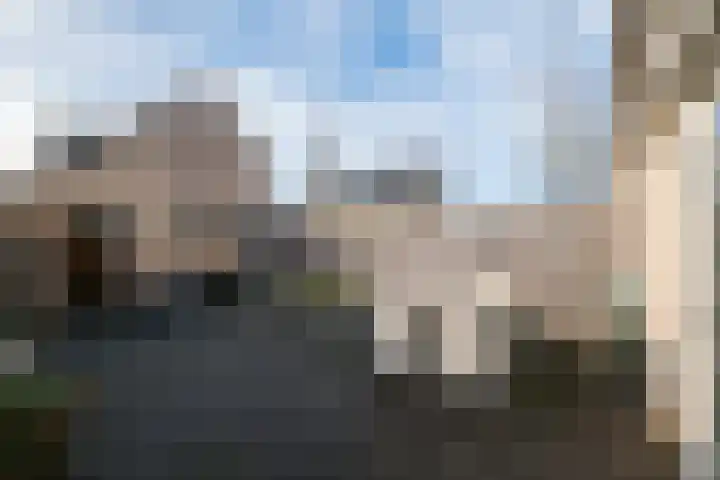 Morelstraat 85 Rockanje thumbnail 36