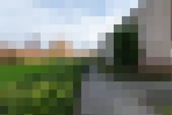 Morelstraat 85 Rockanje thumbnail 4