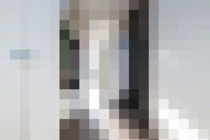 Morelstraat 85 Rockanje thumbnail 7
