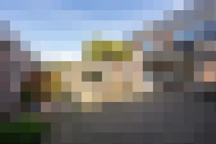 Morelstraat 9 Beneden-Leeuwen thumbnail 52