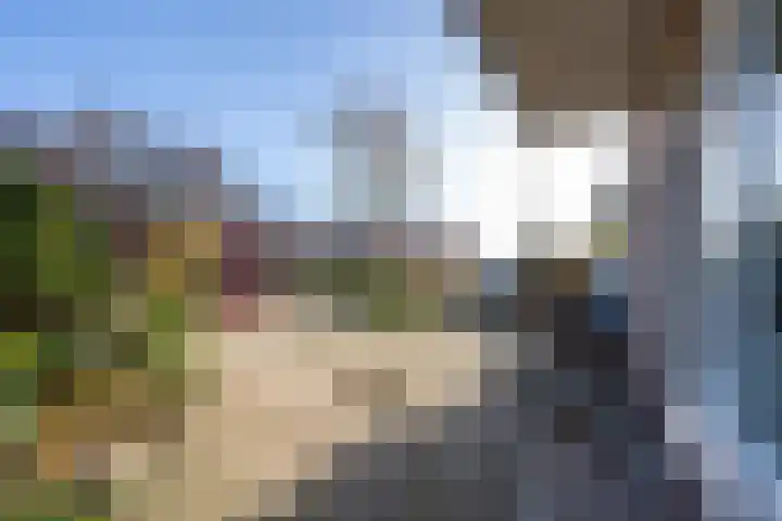 Morelstraat 9 Beneden-Leeuwen thumbnail 61