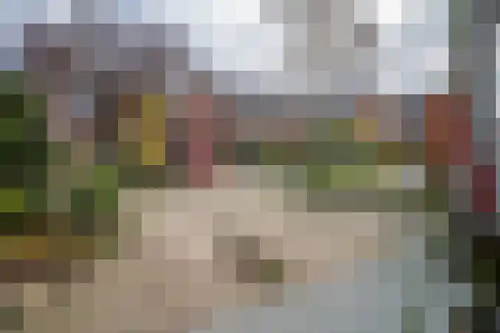 Morelstraat 9 Beneden-Leeuwen thumbnail 64