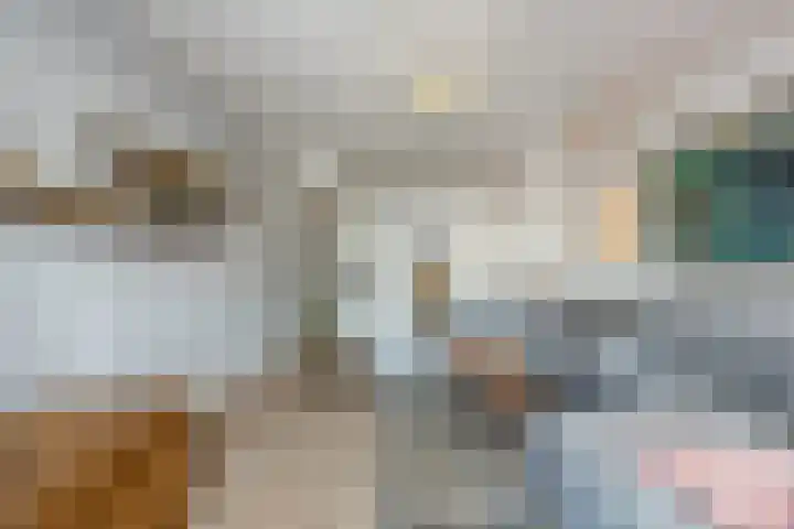 Morene 303 Uden thumbnail 10