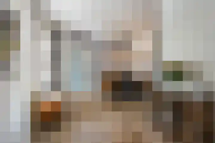 Morene 303 Uden thumbnail 11