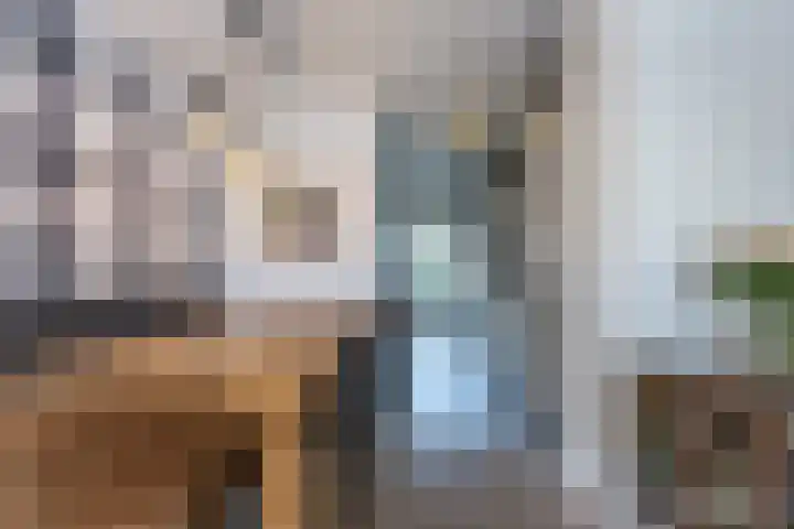 Morene 303 Uden thumbnail 12