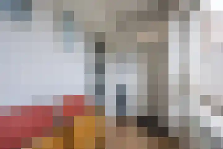 Morene 303 Uden thumbnail 17