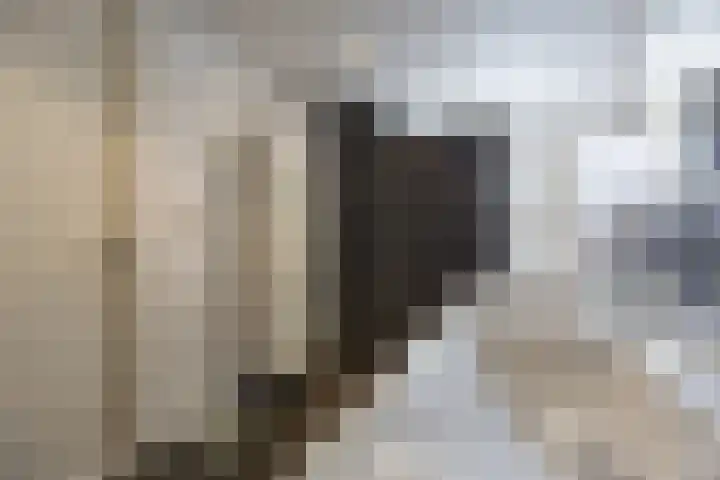 Morene 303 Uden thumbnail 21