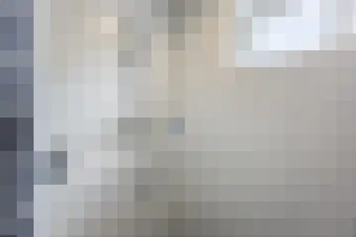 Morene 303 Uden thumbnail 22