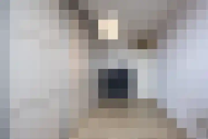 Morene 303 Uden thumbnail 25