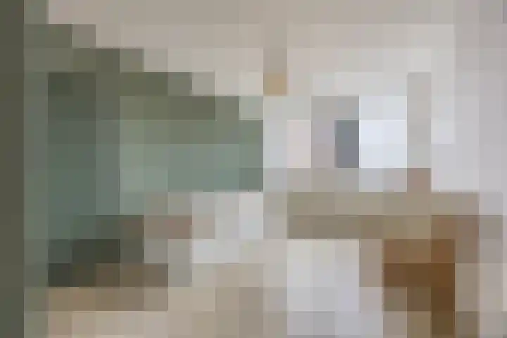 Morene 303 Uden thumbnail 26