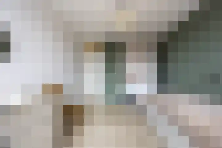 Morene 303 Uden thumbnail 27