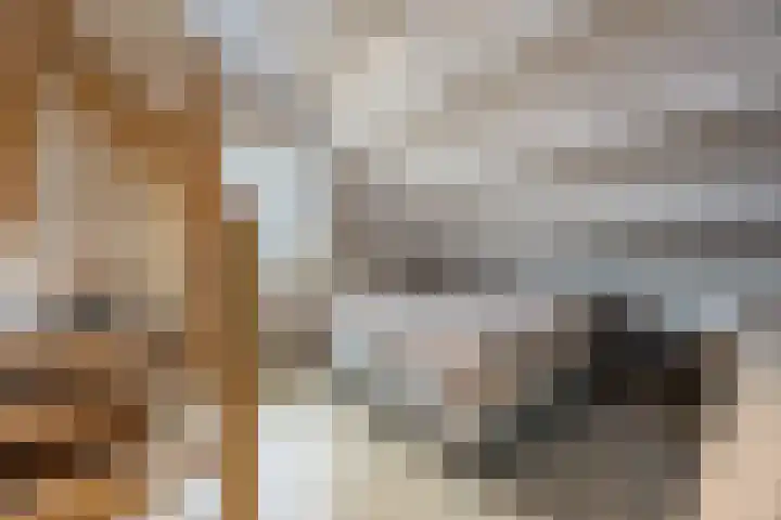 Morene 303 Uden thumbnail 28