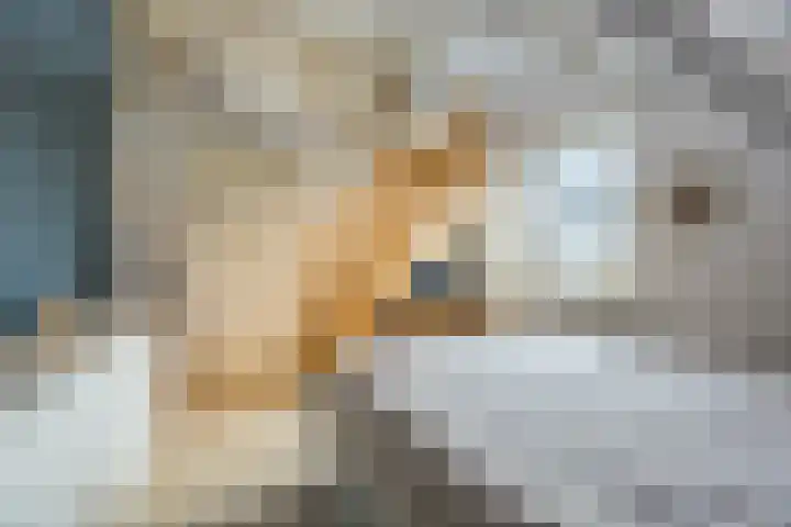 Morene 303 Uden thumbnail 29