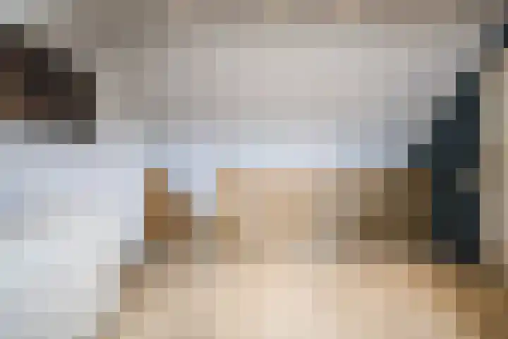 Morene 303 Uden thumbnail 30