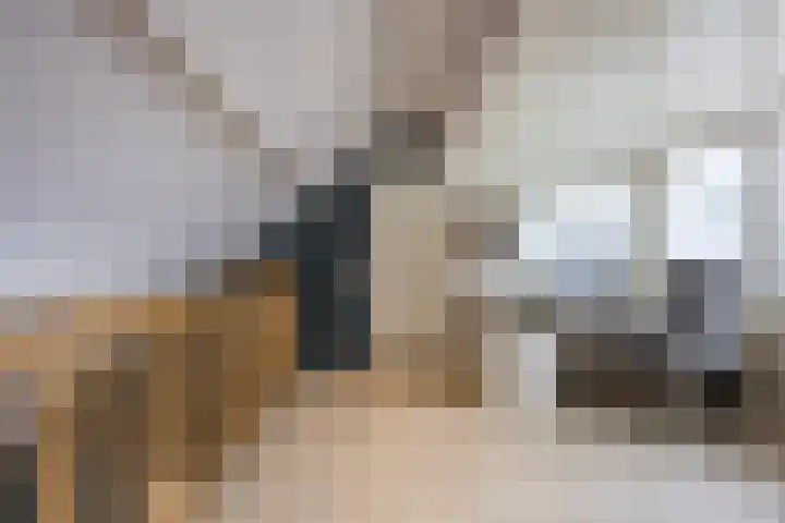 Morene 303 Uden thumbnail 32