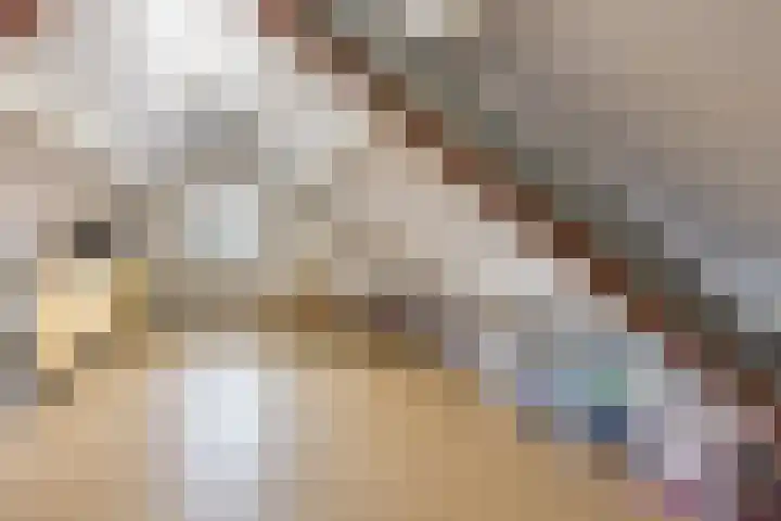 Morene 303 Uden thumbnail 33