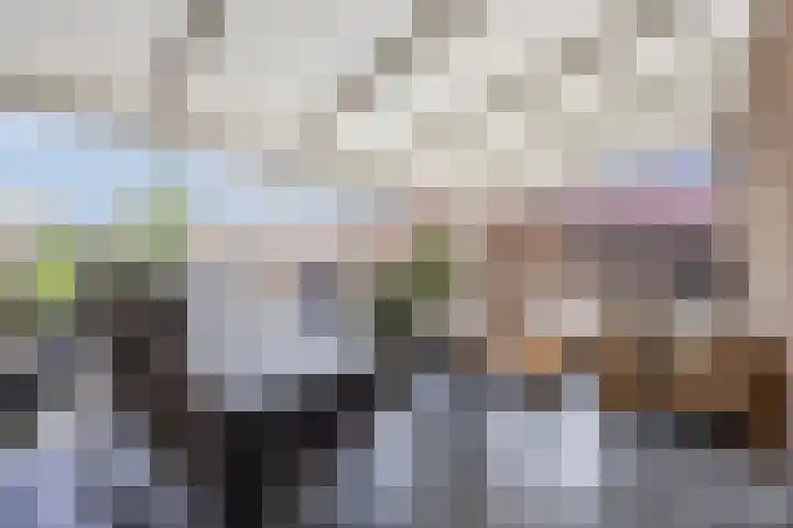 Morene 303 Uden thumbnail 35
