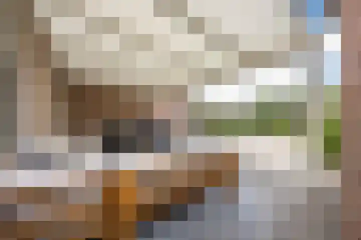 Morene 303 Uden thumbnail 36