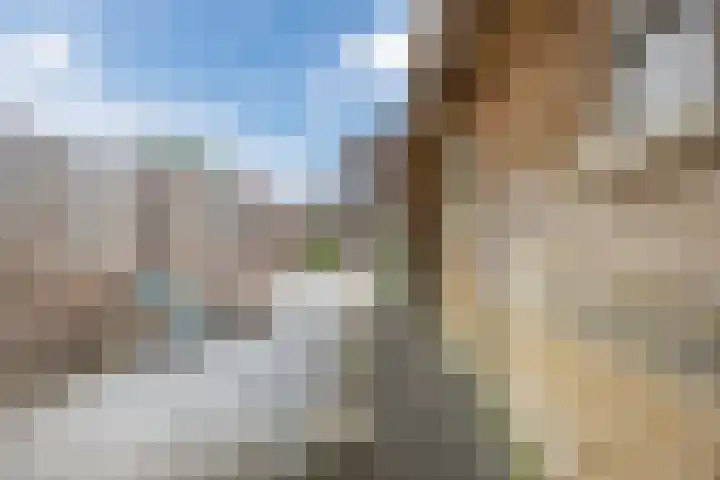 Morene 303 Uden thumbnail 39