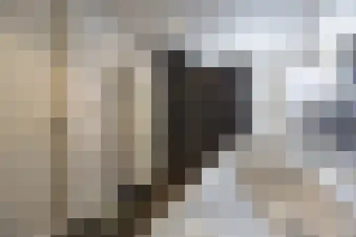 Morene 303 Uden thumbnail 4