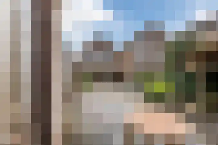 Morene 303 Uden thumbnail 40