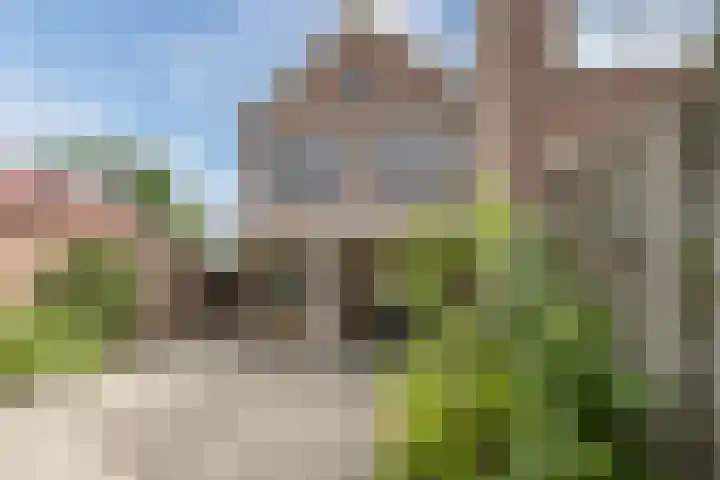 Morene 303 Uden thumbnail 42