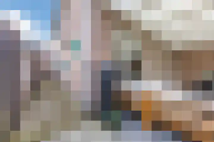 Morene 303 Uden thumbnail 45