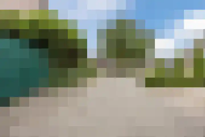 Morene 303 Uden thumbnail 48