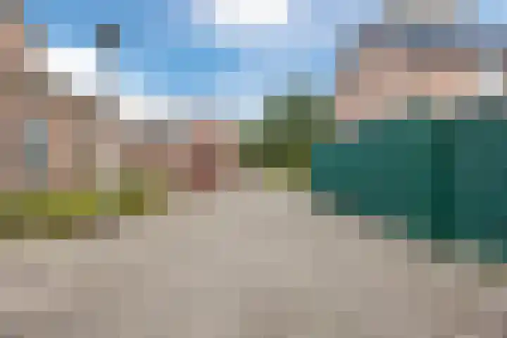 Morene 303 Uden thumbnail 49