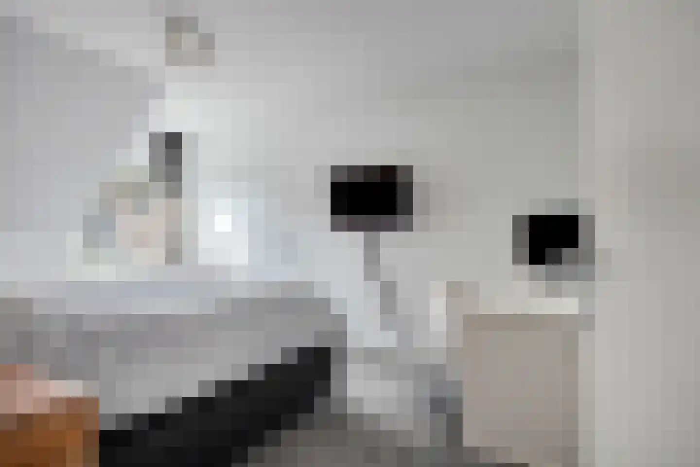 Morene 408 Uden thumbnail 23