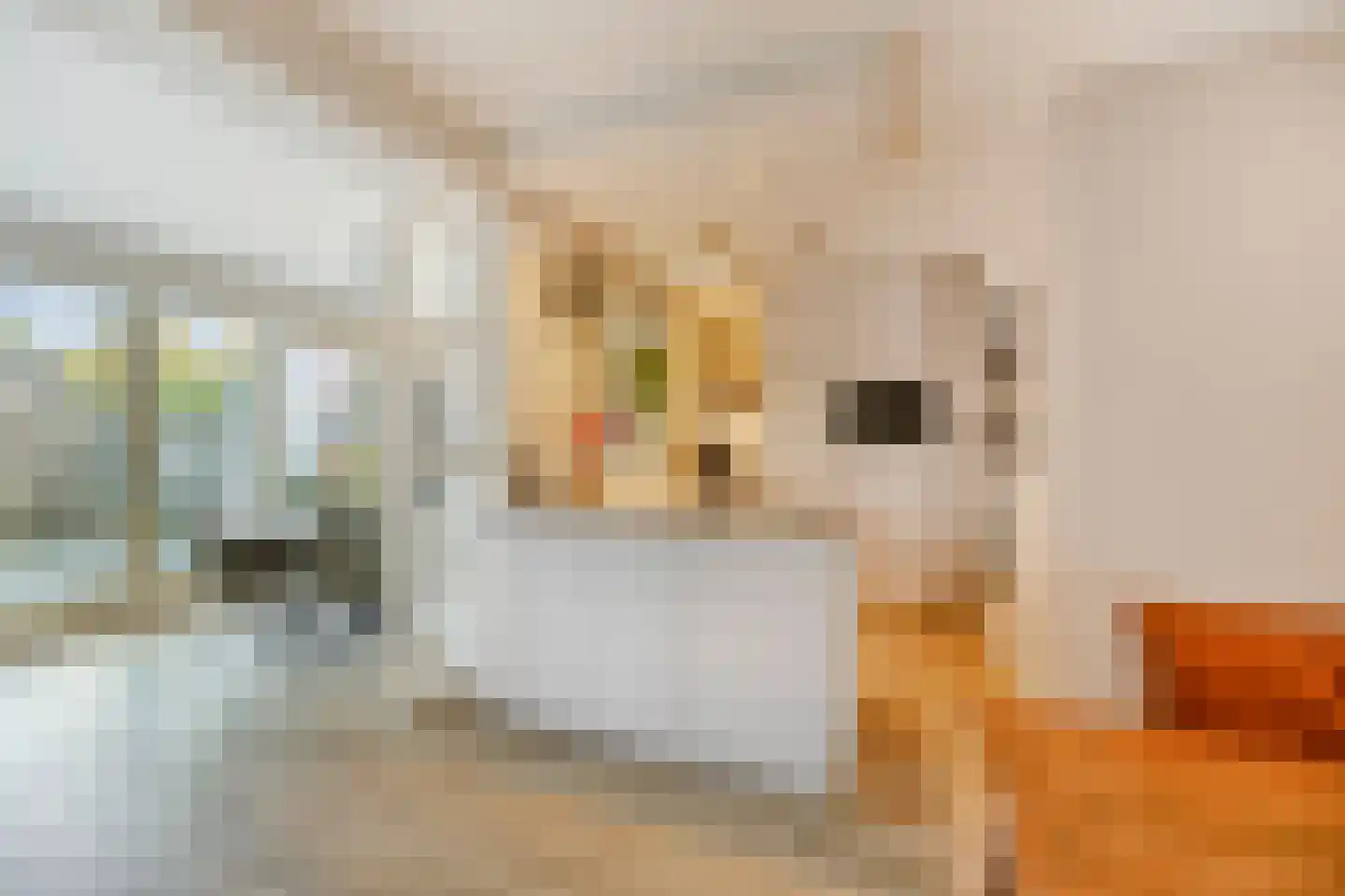 Morene 408 Uden thumbnail 4