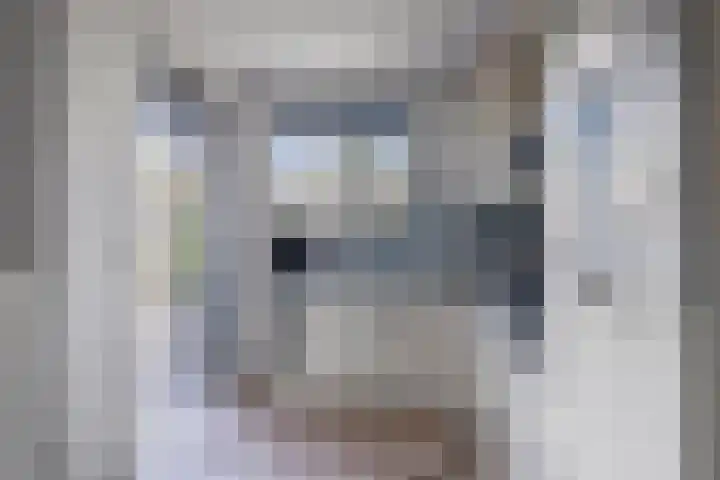 Morene 412 Uden thumbnail 13
