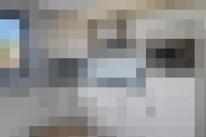 Morene 412 Uden thumbnail 14