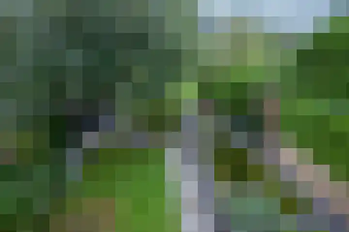 Morettistraat 28 Vaals thumbnail 20