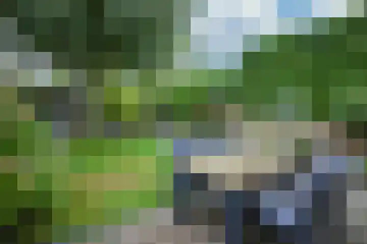 Morettistraat 28 Vaals thumbnail 22