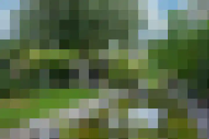 Morettistraat 28 Vaals thumbnail 23
