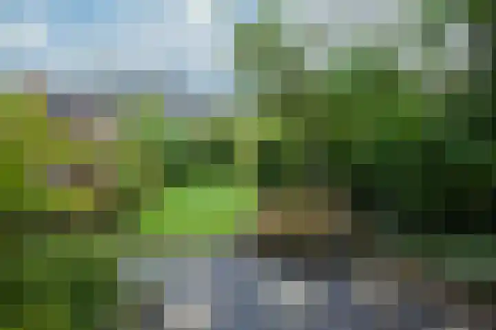 Morettistraat 28 Vaals thumbnail 24