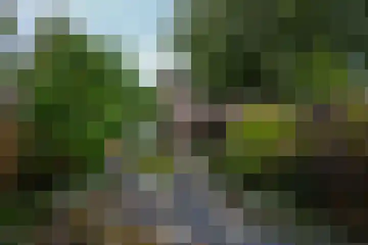 Morettistraat 28 Vaals thumbnail 25