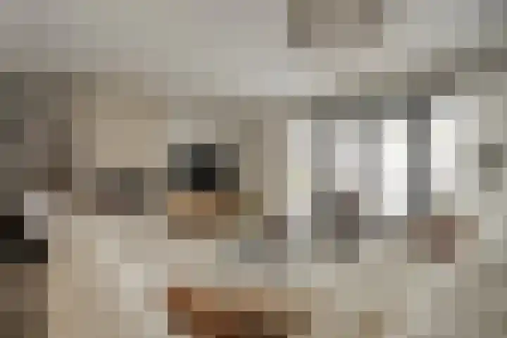 Morganlaan 14 Zutphen thumbnail 12