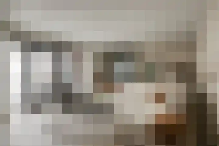 Morganlaan 14 Zutphen thumbnail 13