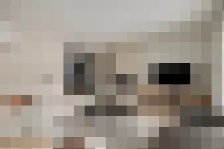 Morganlaan 14 Zutphen thumbnail 20